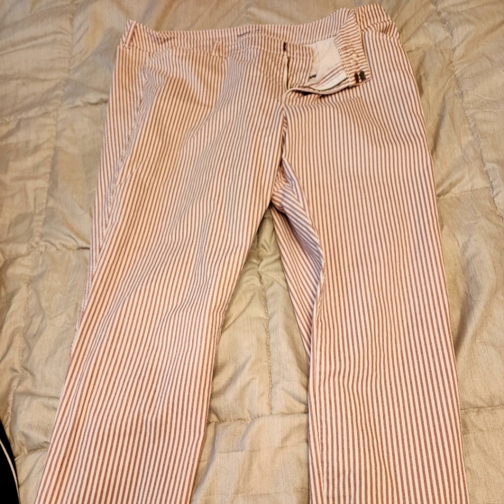 Womens Pixie Pants